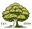 mOrganics Beauty logo