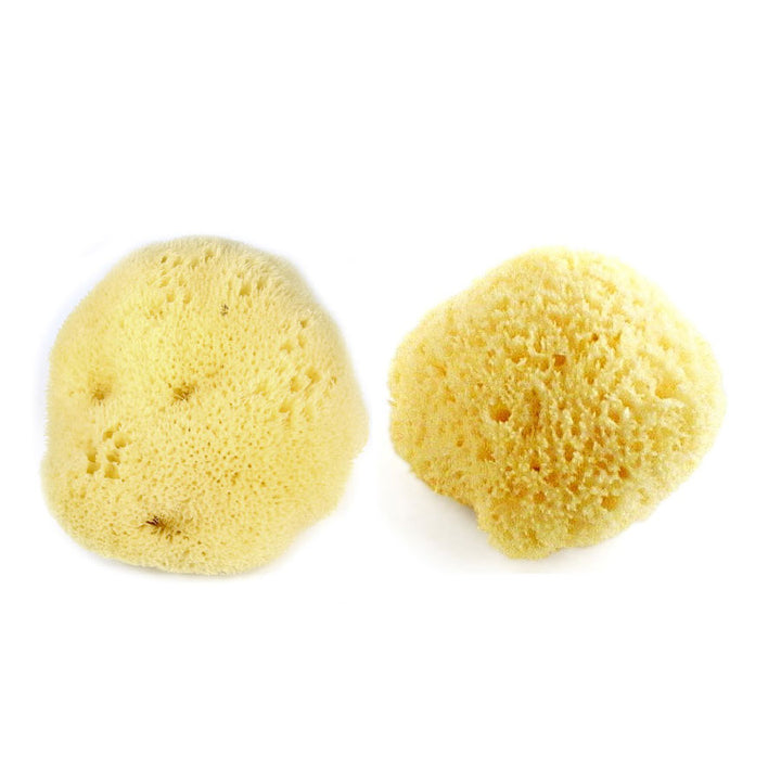 Beaming Baby Organically Grown Sea Sponge , Beauty Kit