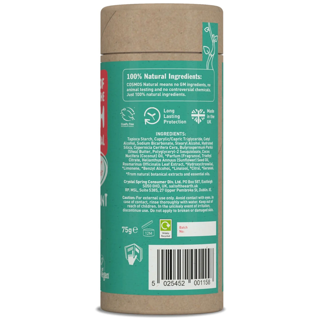 Salt of The Earth Melon &amp; Cucumber Deodorant Stick 75g