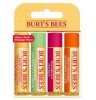 Burt's Bees Value Pack Lip Balm 4x4.5g