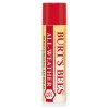 Burt's Bees All-Weather Lip Balm SPF15 4.25g