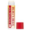 Burt's Bees All-Weather Lip Balm SPF15 4.25g