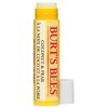 Burt's Bees Coconut & Pear Lip 4.25g