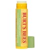 Burt's Bees Cucumber Mint lip Balm 4.25g