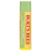 Burt's Bees Cucumber Mint lip Balm 4.25g