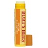 Burt's Bees Mango Lip Balm Tube 4.25g