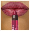 Burt's Bees Lip Crayon Gloss Pacific Coast