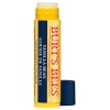 Burt's Bees Vanilla Bean Lip Balm 4.25g