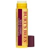 Burt's Bees Wild Cherry Lipbalm 4.5g - Blister Pack