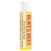 Burt's Bees Coconut & Pear Lip Balm 4.25g