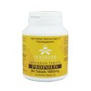 The Blessed Seed Propolis 1000mg 90 Tablets