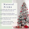 Absolute Aromas Noel Reed Diffuser 100ml