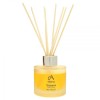 Absolute Aromas Prevention Reed Diffuser 100ml