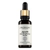 Antipodes Apostle Skin Brightening Serum 30ml