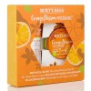 Burt's Bees Nourishing Hand & Lip Kit- Orange Blossom & Pistachio