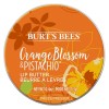 Burt's Bees Orange Blossom & Pistachio Lip Butter 11.3g