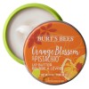 Burt's Bees Orange Blossom & Pistachio Lip Butter 11.3g