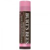 Burt's Bees Tinted Lip Balm Pink Blossom 4.25g