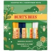 Burt's Bees Beeswax Bounty Assorted Mix Lip Balm Pack