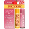 Burt's Bees Lip Balm Multipack, Beeswax Lip Balm & Hibiscus Tinted Lip Balm, Value Duo Pack, 2x4.25g