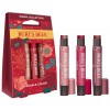 Burt's Bees Kissable Colour Warm Collection