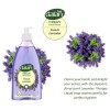 Dalan Therapy French Lavender Hand Wash 400ml