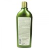 Dalan d'Olive Repairing Care Shampoo 400ml