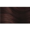 Herbatint Herbal Hair Dye Copper Chestnut 4R