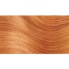 Herbatint Herbal Hair Dye Orange FF6