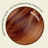 It's Pure Organics Herbal Hair Colour - Auburn 110g