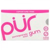 Pur Gum Pomegranate Mint Chewing Gums 9pcs