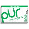 Pur Gum Spearmint Chewing Gum Blister 9 pellets