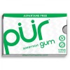 Pur Gum Spearmint Chewing Gum Blister 9 pellets