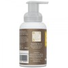 Salt of The Earth Foaming Hand Wash - Amber + Sandalwood 250ml