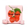 True Gum Plastic Free Chewing Gum - Raspberry & Vanilla 21g