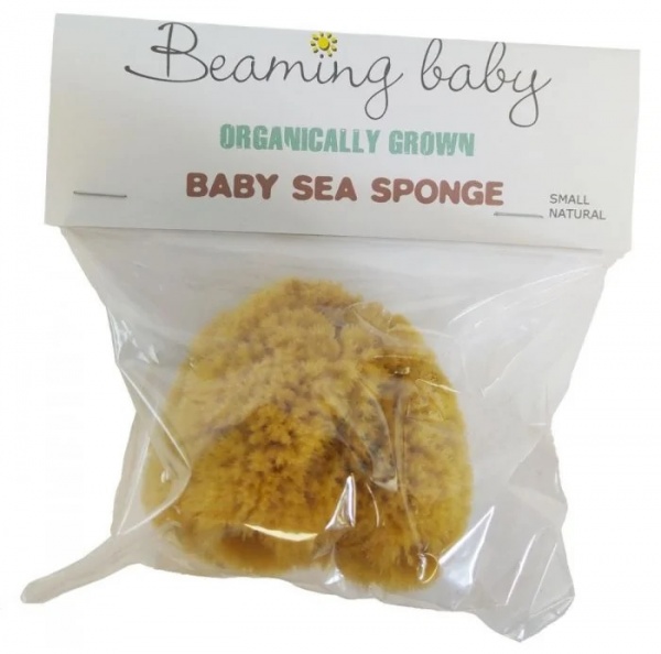 Beaming Baby Organic Sea Sponge for Baby Small Natural