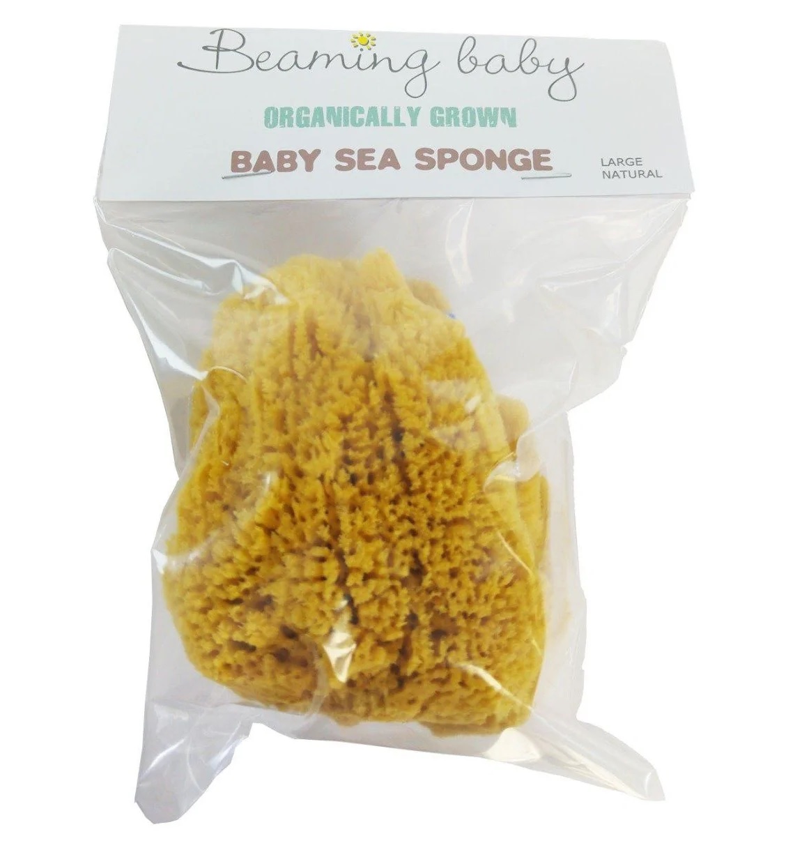 Beaming Baby Organic Sea Sponge for Baby Large Natural