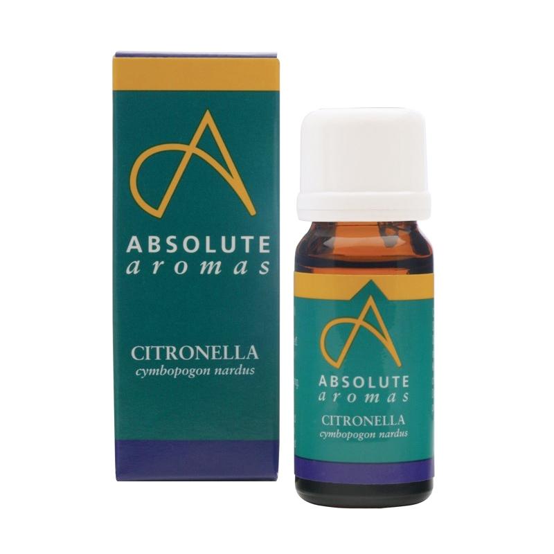 Absolute Aromas Citronella (Cymbopogon Nardus) Oil 10ml